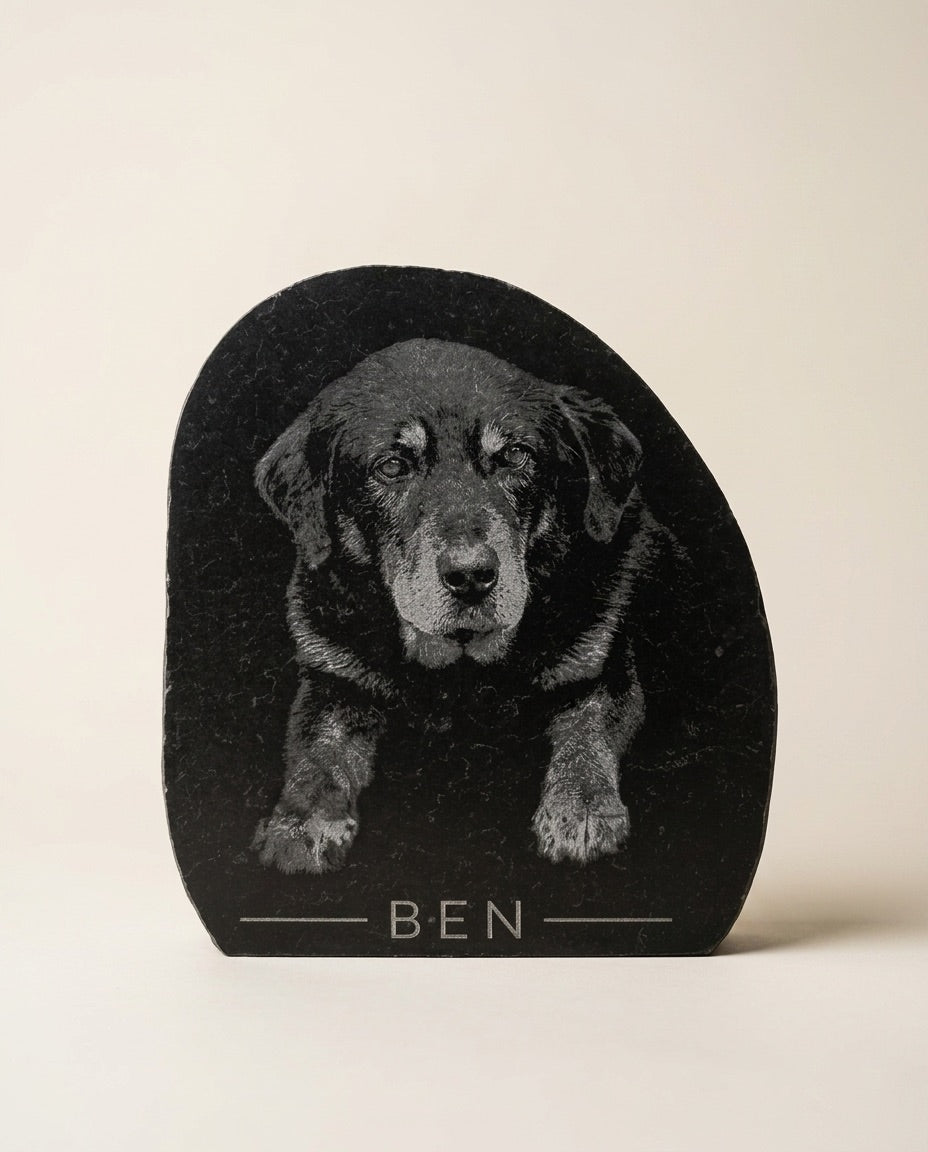 Pillow Basalt