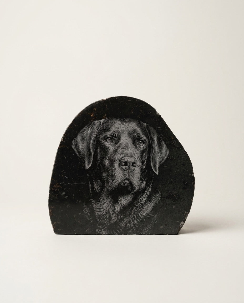 Pillow Basalt