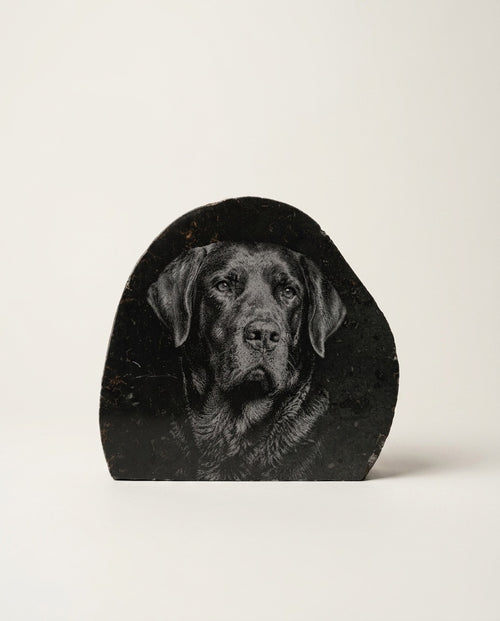Pillow Basalt